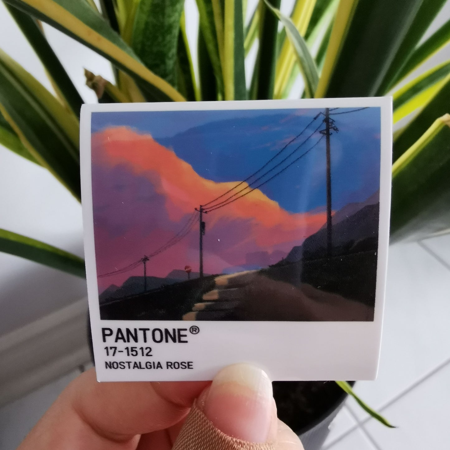 Pantone Polaroids Stickers