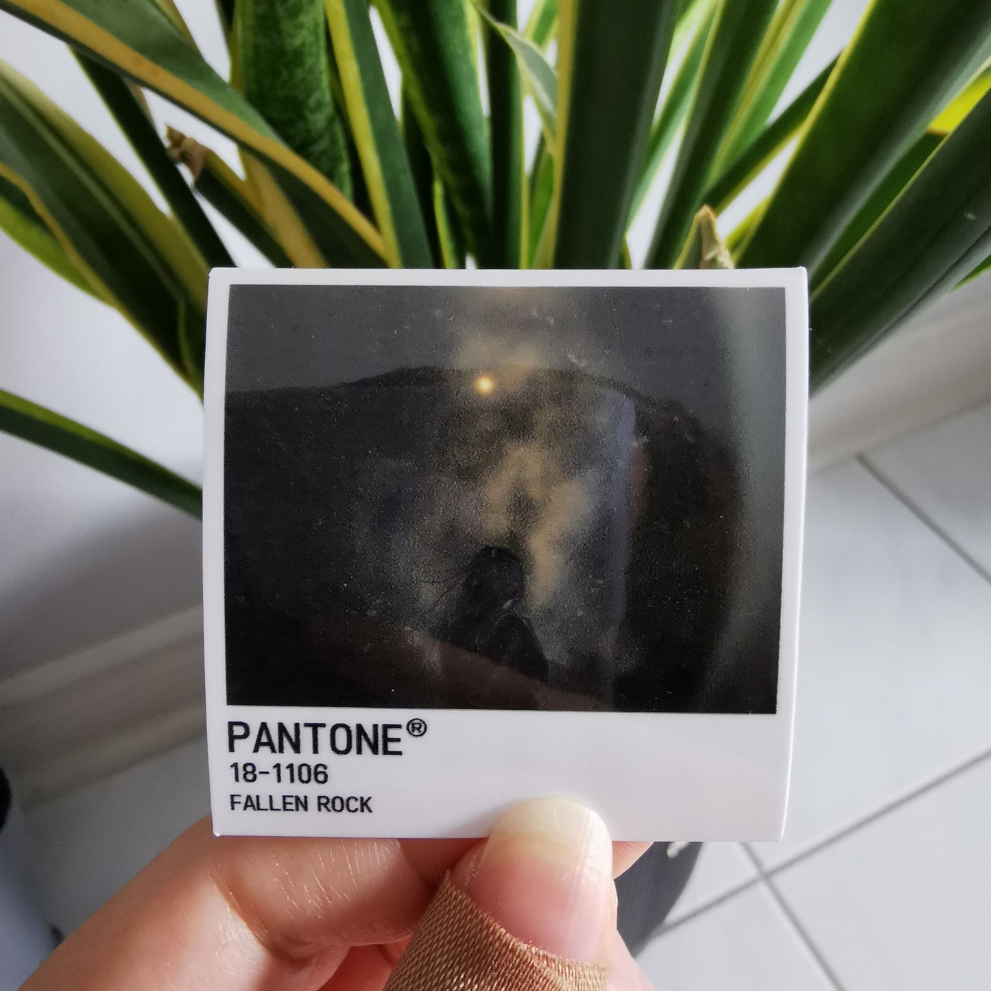 Pantone Polaroids Stickers