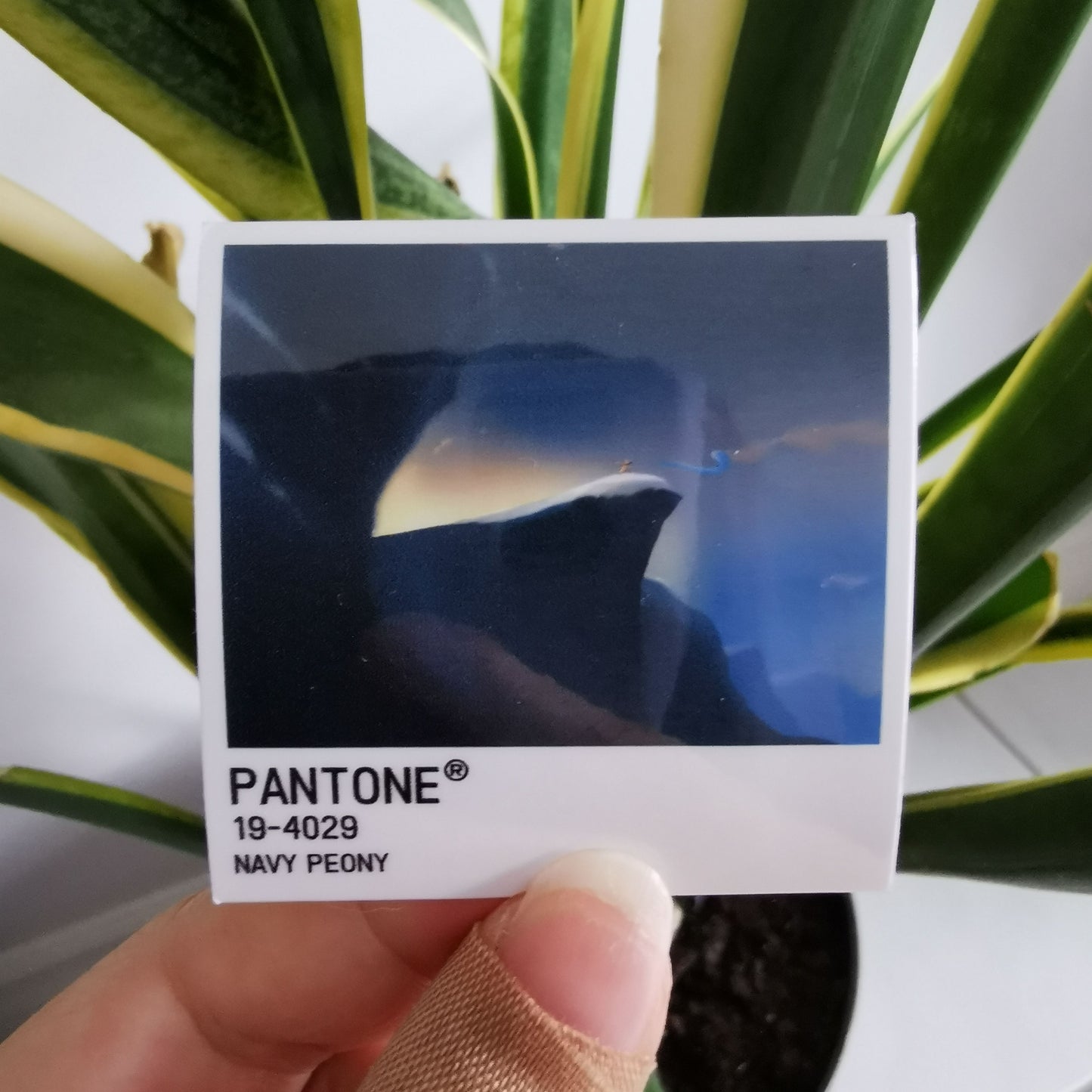 Pantone Polaroids Stickers